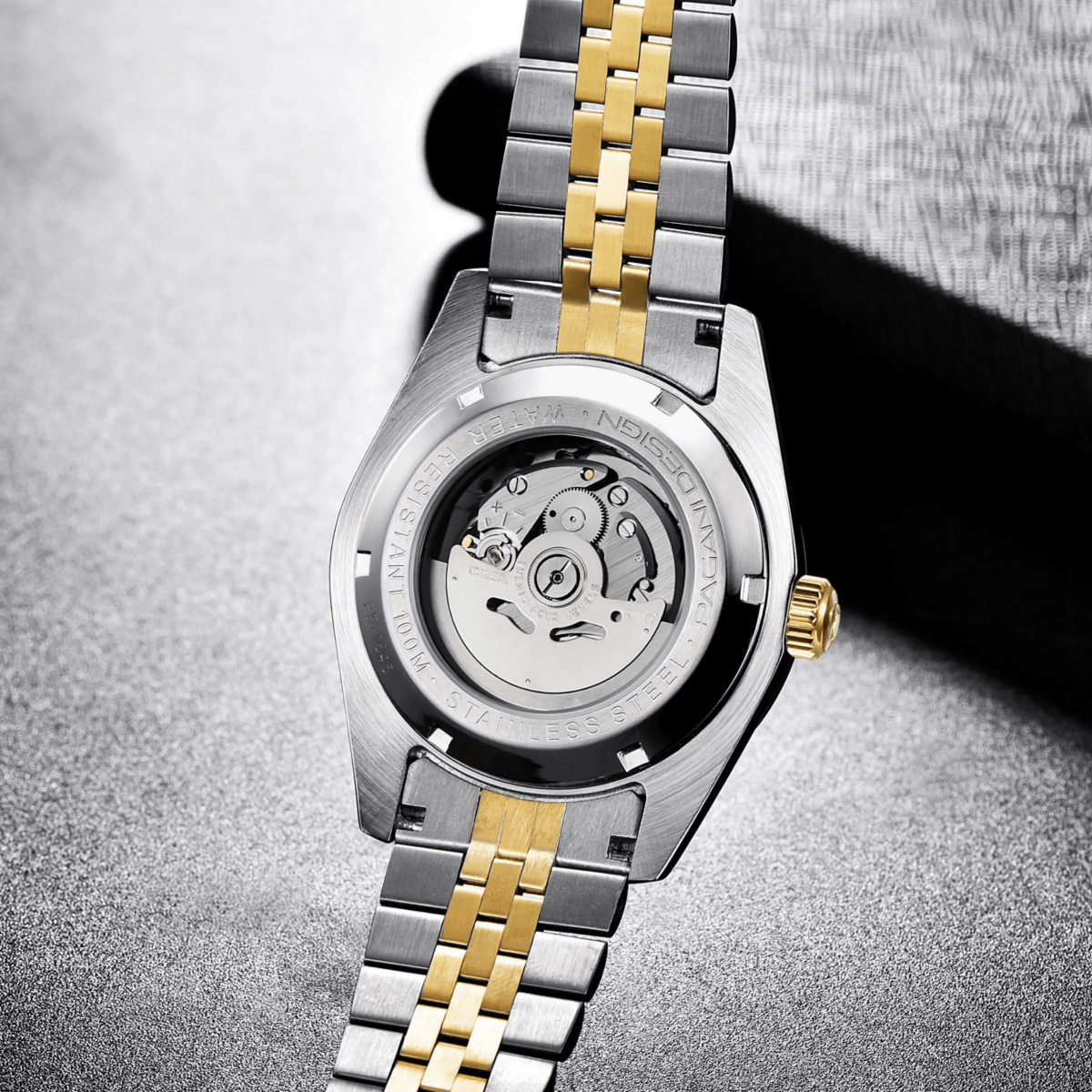 Pagani Design PD-1645 – Reloj Automático de Acero Inoxidable para Hombre